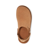 UGG GOLDENSTAR CLOG WOMEN Tektoty